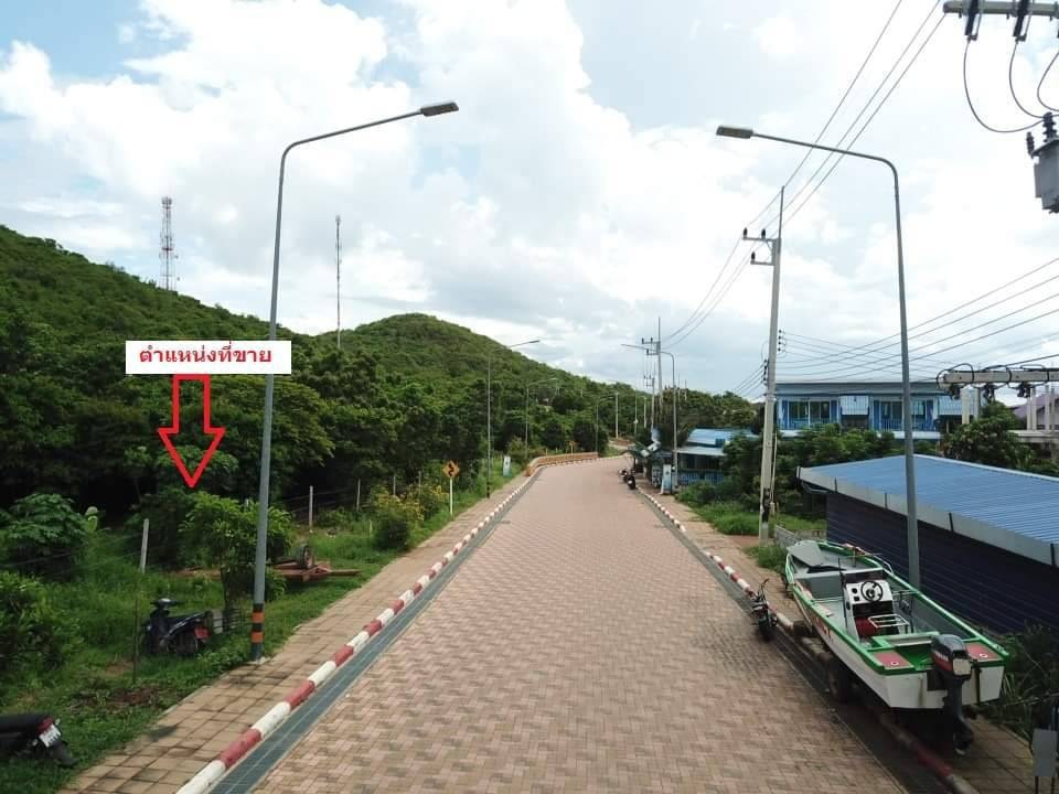 ขายที่ดินสวย บนเกาะล้าน ไม่ต้องถม เนื้อที่ 3 ไร่ 3 งาน 66 วา 